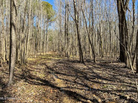 2962 Simon Chapel Rd, Sardis, MS 38666 photo 204