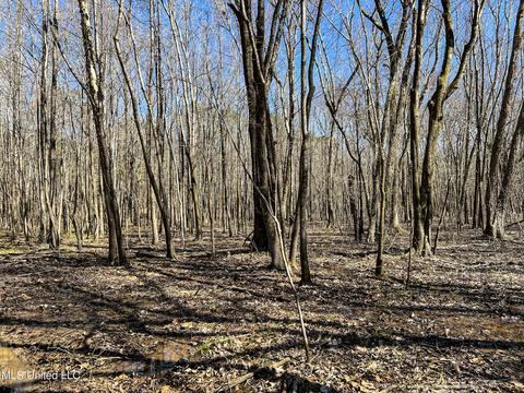 2962 Simon Chapel Rd, Sardis, MS 38666 photo 205