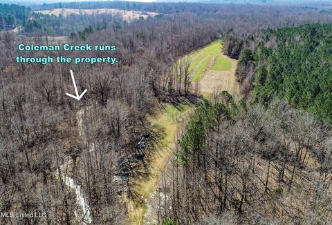 2962 Simon Chapel Rd, Sardis, MS 38666 photo 15