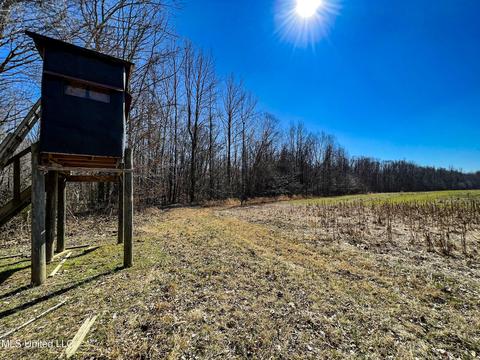 2962 Simon Chapel Rd, Sardis, MS 38666 photo 145