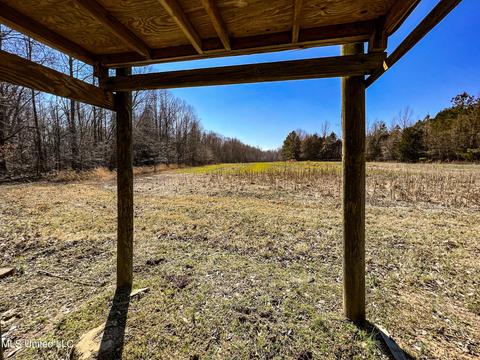 2962 Simon Chapel Rd, Sardis, MS 38666 photo 146