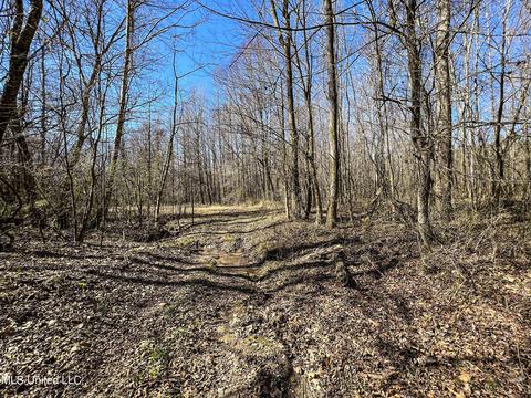 2962 Simon Chapel Rd, Sardis, MS 38666 photo 160