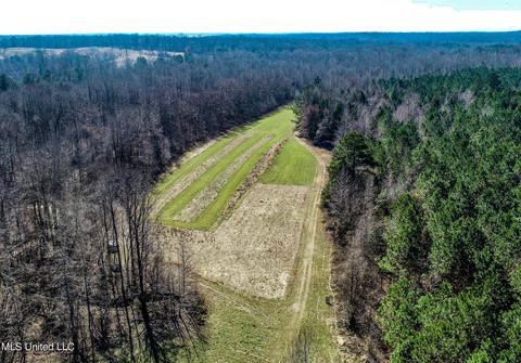 2962 Simon Chapel Rd, Sardis, MS 38666 photo 16