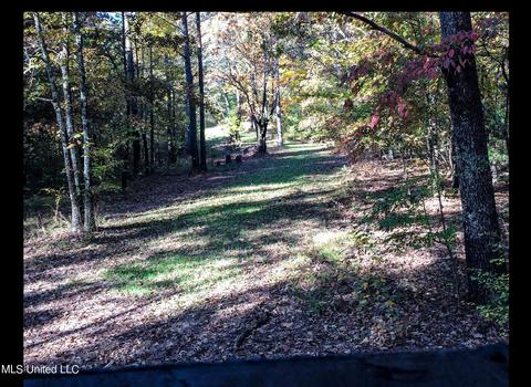 2962 Simon Chapel Rd, Sardis, MS 38666 photo 189