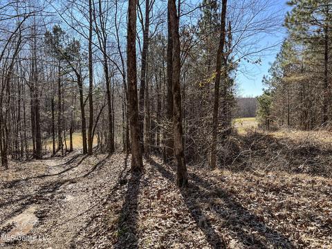 2962 Simon Chapel Rd, Sardis, MS 38666 photo 136