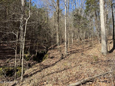 2962 Simon Chapel Rd, Sardis, MS 38666 photo 138