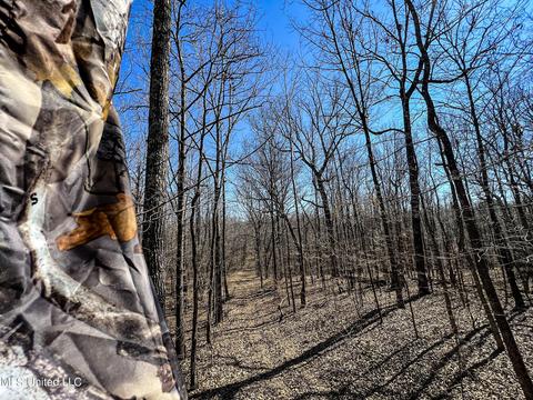 2962 Simon Chapel Rd, Sardis, MS 38666 photo 172