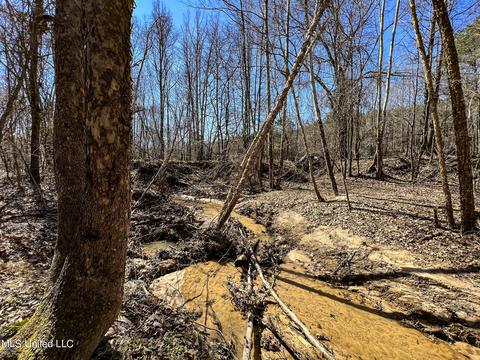 2962 Simon Chapel Rd, Sardis, MS 38666 photo 198