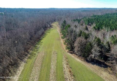 2962 Simon Chapel Rd, Sardis, MS 38666 photo 17