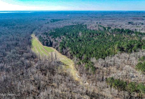 2962 Simon Chapel Rd, Sardis, MS 38666 photo 13