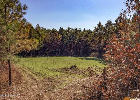 2962 Simon Chapel Rd, Sardis, MS 38666 photo 187