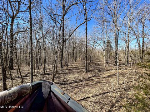 2962 Simon Chapel Rd, Sardis, MS 38666 photo 175