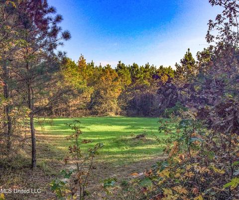 2962 Simon Chapel Rd, Sardis, MS 38666 photo 188