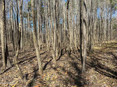 2962 Simon Chapel Rd, Sardis, MS 38666 photo 206