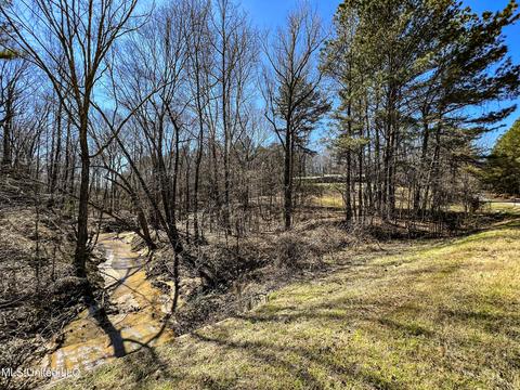 2962 Simon Chapel Rd, Sardis, MS 38666 photo 195