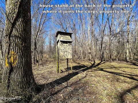 2962 Simon Chapel Rd, Sardis, MS 38666 photo 162