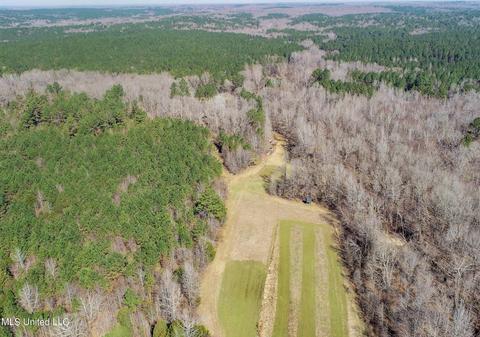 2962 Simon Chapel Rd, Sardis, MS 38666 photo 20
