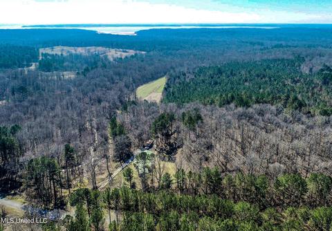 2962 Simon Chapel Rd, Sardis, MS 38666 photo 11