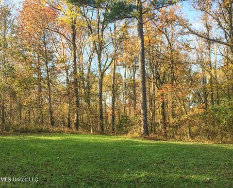 2962 Simon Chapel Rd, Sardis, MS 38666 photo 191