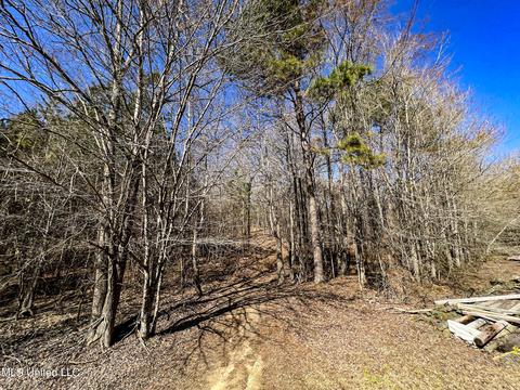 2962 Simon Chapel Rd, Sardis, MS 38666 photo 142