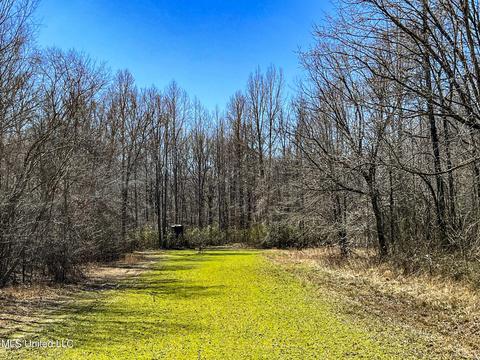2962 Simon Chapel Rd, Sardis, MS 38666 photo 182