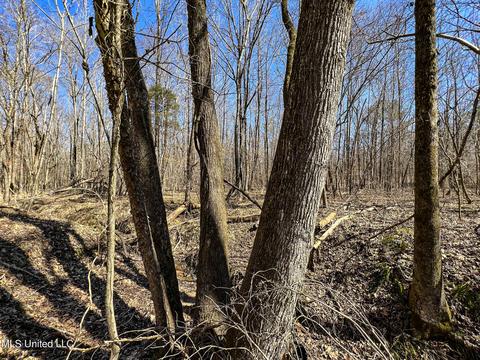 2962 Simon Chapel Rd, Sardis, MS 38666 photo 202