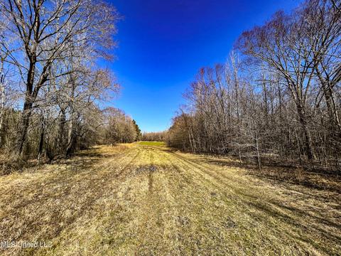 2962 Simon Chapel Rd, Sardis, MS 38666 photo 183