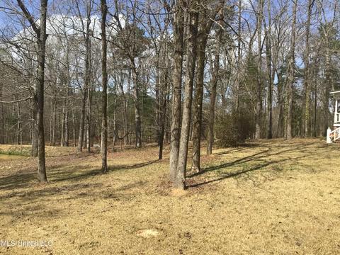 416 Springwood Cir, Terry, MS 39170 photo 32