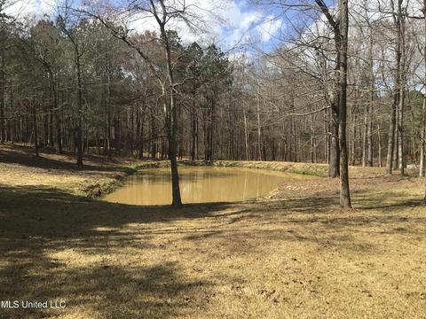 416 Springwood Cir, Terry, MS 39170 photo 31