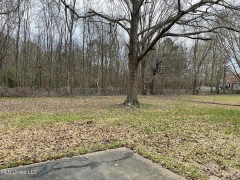 519 Weems Dr, Canton, MS 39046 photo 19