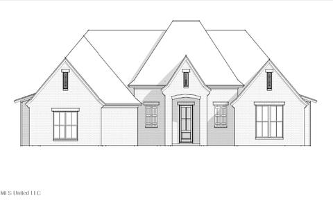447 Crossvine Pl, Madison, MS 39110 photo 1