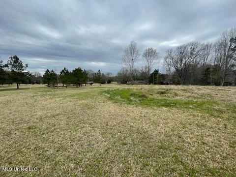 3967 Mcguffee Rd, Clinton, MS 39056 photo 11