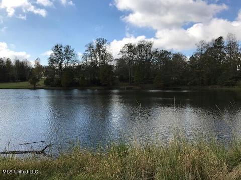3967 Mcguffee Rd, Clinton, MS 39056 photo 26