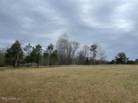 3967 Mcguffee Rd, Clinton, MS 39056 photo 4