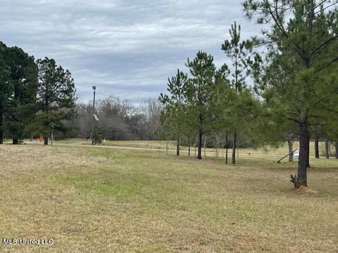 3967 Mcguffee Rd, Clinton, MS 39056 photo 20