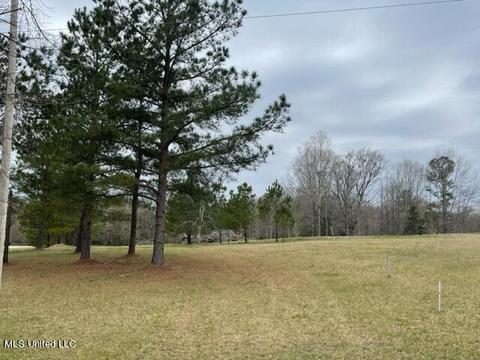 3967 Mcguffee Rd, Clinton, MS 39056 photo 8