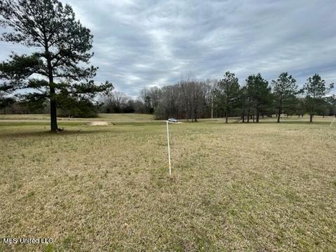 3967 Mcguffee Rd, Clinton, MS 39056 photo 14