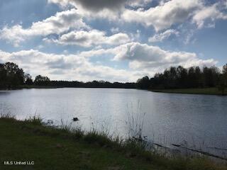 3967 Mcguffee Rd, Clinton, MS 39056 photo 2