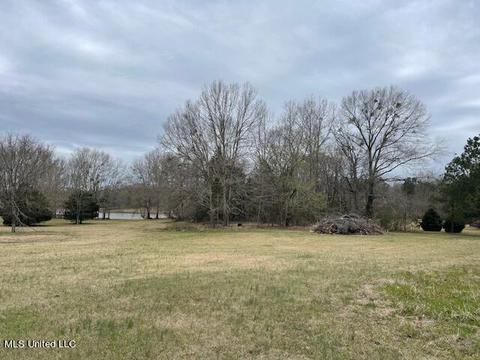3967 Mcguffee Rd, Clinton, MS 39056 photo 6