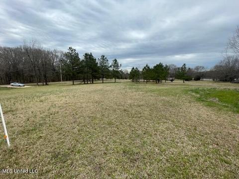 3967 Mcguffee Rd, Clinton, MS 39056 photo 13