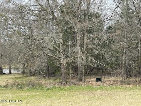 3967 Mcguffee Rd, Clinton, MS 39056 photo 23