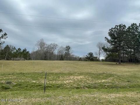 3967 Mcguffee Rd, Clinton, MS 39056 photo 9