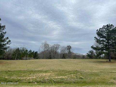 3967 Mcguffee Rd, Clinton, MS 39056 photo 3
