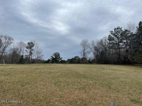 3967 Mcguffee Rd, Clinton, MS 39056 photo 22