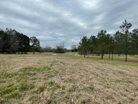 3967 Mcguffee Rd, Clinton, MS 39056 photo 21