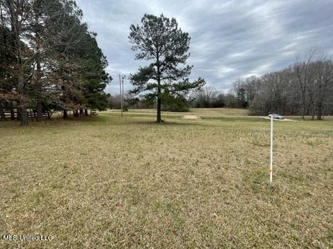 3967 Mcguffee Rd, Clinton, MS 39056 photo 15
