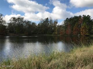 3967 Mcguffee Rd, Clinton, MS 39056 photo 24
