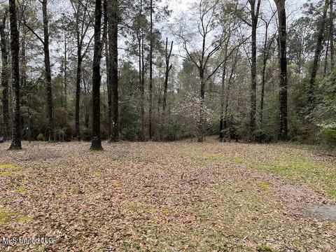 320 Elmer Ave, Wiggins, MS 39577 photo 17