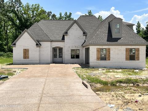 8255 Briscoe Dr, Olive Branch, MS 38654 photo 1