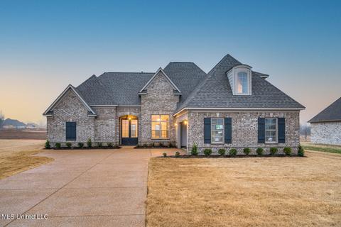 8255 Briscoe Dr, Olive Branch, MS 38654 photo 2